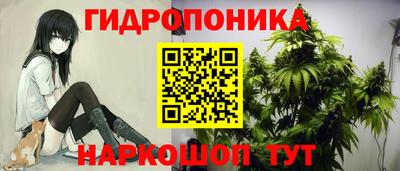 гидропоника Нягань