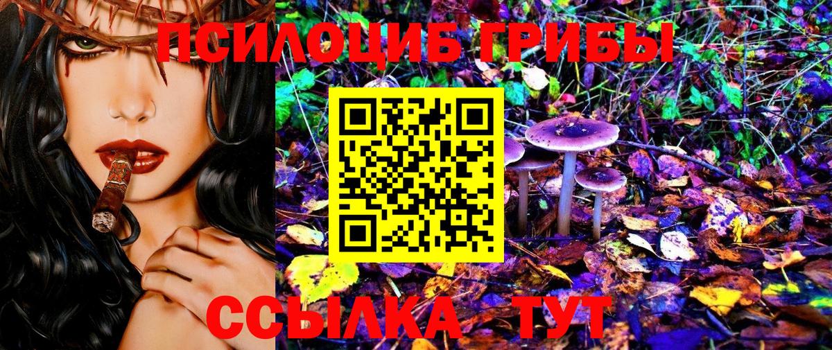 как найти наркотики  Псилоцибиновые грибы Psilocybine cubensis  Вход с VPN  Уварово 